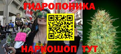 индика Наро-Фоминск