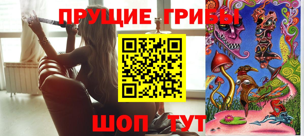 Галлюциногенные грибы Psilocybine cubensis Улан-Удэ